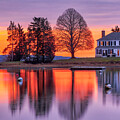 Duxbury Massachusetts Gumdrop Tree Tranquility  by Juergen Roth