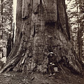 Eadweard Muybridge and General Grant Tree, c. 1864 Photograph by Getty Research Institute Eadweard Muybridge and General Grant Tree, c. 1864 Photograph by Getty Research Institute