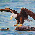 Eagle's Catch Pastel by Carol Corliss