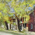 Early Morning Early Spring  by Lois Bryan