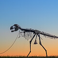 Early Morning Walk by Rand Ningali