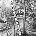Early spring in black and white by Inese Poga