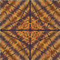Earth Lines by Diane Parnell