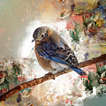 Eastern Bluebird botanical styled art photo Photograph by Sandra Rust Eastern Bluebird botanical styled art photo Photograph by Sandra Rust