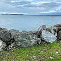 Edgewater beach park Photograph by Anamar Pictures Edgewater beach park Photograph by Anamar Pictures