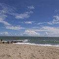Edisto Beach Salutations Photograph by Heather E Harman Edisto Beach Salutations Photograph by Heather E Harman