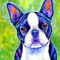Effervescent - Colorful Boston Terrier Dog Painting by Rebecca Wang Effervescent - Colorful Boston Terrier Dog Painting by Rebecca Wang
