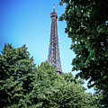 Eiffel Tower through Trees Photograph by Jim Feldman Eiffel Tower through Trees Photograph by Jim Feldman