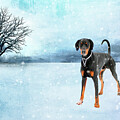 Elegance in the Frost by Randi Grace Nilsberg