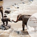 Elephants All Creatures Great and Small Photograph by Nancy Ayanna Wyatt Elephants All Creatures Great and Small Photograph by Nancy Ayanna Wyatt