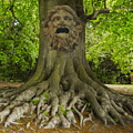 EMA Tree Face Digital Art by Cindy's Creative Corner EMA Tree Face Digital Art by Cindy's Creative Corner