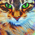 Emerald Gaze by John Robert Beck Emerald Gaze by John Robert Beck