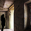 Emerging from the Darkness Photograph by Micki Findlay Emerging from the Darkness Photograph by Micki Findlay