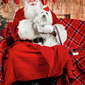 Emmy with Santa 1 Photograph by Christopher Holmes Emmy with Santa 1 Photograph by Christopher Holmes