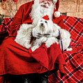 Emmy with Santa 2 Photograph by Christopher Holmes Emmy with Santa 2 Photograph by Christopher Holmes