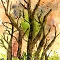Enchanted by Dianna Hardy