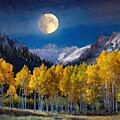 Enchanted Evening in Colorado Aspens by Susan Rydberg