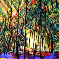 Enchanted Forest Painting by John Bohn Enchanted Forest Painting by John Bohn