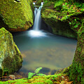Enchanted Pool by Damon Shaw
