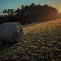 End of the Day Photograph by Jerry LoFaro End of the Day Photograph by Jerry LoFaro