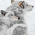 Endless Love by Tamara Nelson