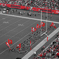 Endzone Digital Art by Chauncy Holmes Endzone Digital Art by Chauncy Holmes