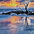Enhanced Sunrise on Driftwood Beach by Farol Tomson