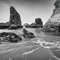 Entanglement by Ryan Weddle