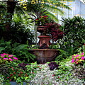 Entering the Doors of the Biltmore Conservatory by Carol Montoya