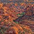 Eroded Sandstone Formations Escalante Grand Staircase  by Dave Welling