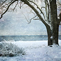 Escaping the Crowd by Randi Grace Nilsberg