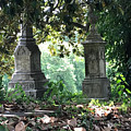 Eternal Rest Photograph by Lee Darnell Eternal Rest Photograph by Lee Darnell