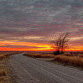 Evening Drive by Brad Mangas