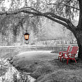 Evening Glow Black and White Photograph by Debra and Dave Vanderlaan Evening Glow Black and White Photograph by Debra and Dave Vanderlaan