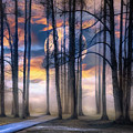 Evening Mystery Photograph by Debra and Dave Vanderlaan Evening Mystery Photograph by Debra and Dave Vanderlaan