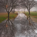 Evening Rain Photograph by Debra and Dave Vanderlaan Evening Rain Photograph by Debra and Dave Vanderlaan
