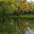 Evening Reflections - 33714 by Wall Art Of Texas