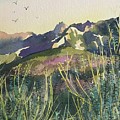 Evening view Malibu creek. Painting by Luisa Millicent Evening view Malibu creek. Painting by Luisa Millicent