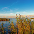 Everglades Early Sunset Photograph by Blair Damson Everglades Early Sunset Photograph by Blair Damson