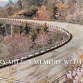 Every Mile a Memory Minimalist Blue Ridge Parkway Viaduct Sketch by Bob Pardue