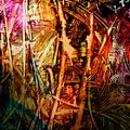 Exit by Karen Lillard