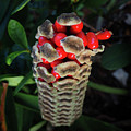 Exploding Very Slowly by Luz Resto