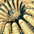 Eye of The Crater Digital Art by Phil Perkins Eye of The Crater Digital Art by Phil Perkins