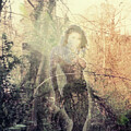 Fairy Light by Joel Keener