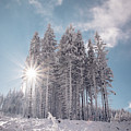 Fairy-tale wilderness covered in snow Photograph by Vaclav Sonnek Fairy-tale wilderness covered in snow Photograph by Vaclav Sonnek