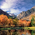 Fall Color Middle Palisades Glacier Eastern Sierras Californ Photograph by Dave Welling Fall Color Middle Palisades Glacier Eastern Sierras Californ Photograph by Dave Welling