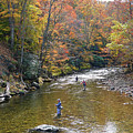 Fall Fly Fishing Photograph by Mike McGlothlen Fall Fly Fishing Photograph by Mike McGlothlen