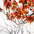 Fall Leaves - Watercolor Art Painting by Sher Nasser Fall Leaves - Watercolor Art Painting by Sher Nasser
