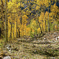 Fall Mountain Road Photograph by Ron Long Ltd Photography Fall Mountain Road Photograph by Ron Long Ltd Photography