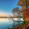 Fallen Tree Reflection Photograph by Dee Potter Fallen Tree Reflection Photograph by Dee Potter